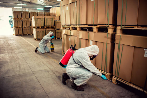 Best Pest Removal Services  in Westmont, PA