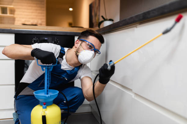 Best Pest Removal Services  in Westmont, PA