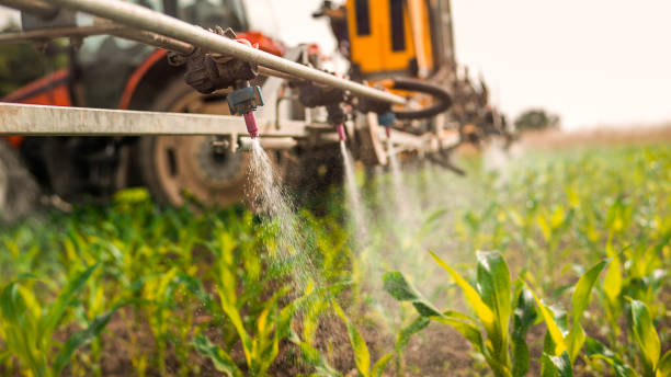 Best Commercial Pest Control Services  in Westmont, PA