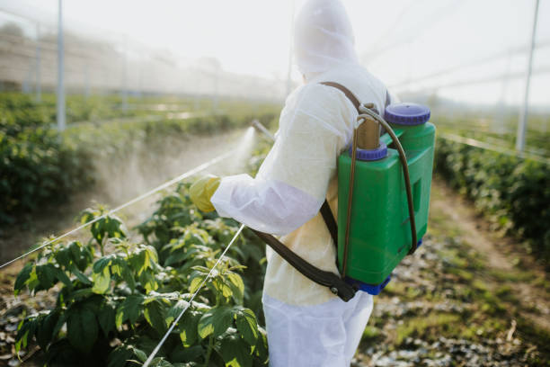 Westmont, PA Pest Control Company